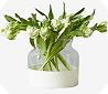 products-6